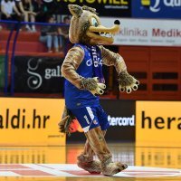 KK Cibona - KK Zadar