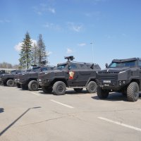 Oklopno vozilo Despot