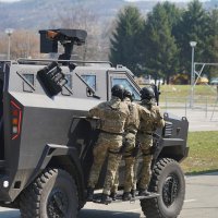 Oklopno vozilo Despot