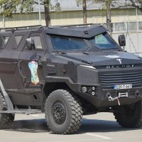 Oklopno vozilo Despot