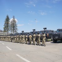 Oklopno vozilo Despot