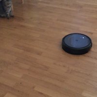 IMG-630356086b67e6b4553c2adbb4758b1a-V