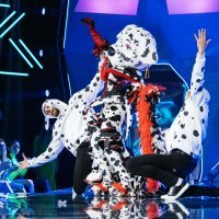 Masked Singer - Dalmatinka