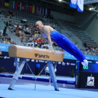 Svjetski gimnastičarski kup - Osijek 2022