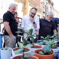 Tomašević na manifestaciji Projekt Ilica Q’ART