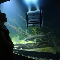 AquatiKa predstavila prvi robot perač akvarija