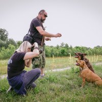 Pet Almighty Photography