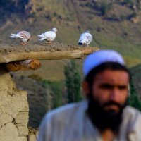 Potres u Afganistanu