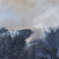 Požar u Turskoj