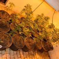 Zapljena droge u Zagrebu