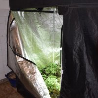 Zapljena droge u Zagrebu