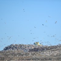 Zagreb: Odlagalište otpada Jakuševec