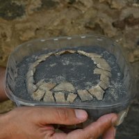 Kornjača pronađena u Pompejima