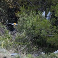 Jedna osoba poginula u slijetanju vozila u Šparadićima, policijski očevid u tijeku