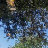 Honor Magic4 Pro primjeri fotografija