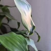 Samsung Galaxy A53 5G primjeri fotografija