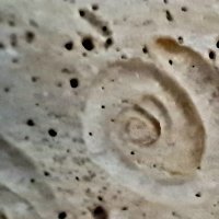 Samsung Galaxy A53 5G primjeri fotografija