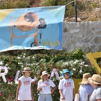 Festival bespravne gradnje u uvali Vruja