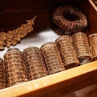 Dom Ivane Brlić Mažuranić