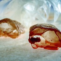 Flour-free mille-fuille - photoFrancesc Guillamet