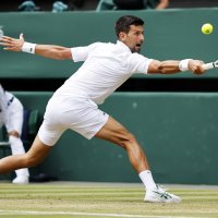 Novak Đoković vs. Jannik Sinner - četvrtfinale Wimbledona