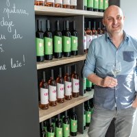 Vinarija Tomislava Tolušića
