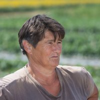 Predrag Tomašević, uzgajivač lubenica u Baranji