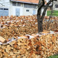 Drvo za ogrjev