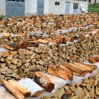Drvo za ogrjev