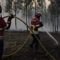 Požar u Portugalu