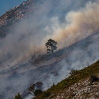 Požar na obroncima Srđa