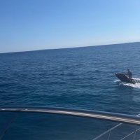 Maja Šuput i Bloom na Pagu