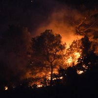 Andrej Plenković u Zatonu