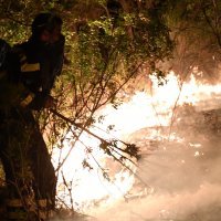 Požar je noćas gorio i kod sela Podgaj