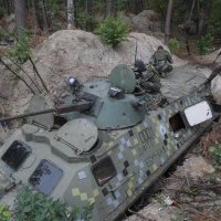 Teritorijalna obrana Buče