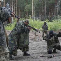 Teritorijalna obrana Buče