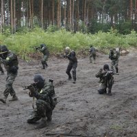 Teritorijalna obrana Buče