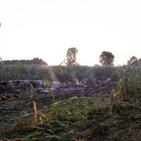 Pad ukrajinskog teretnog zrakoplova u Grčkoj