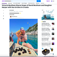 Svjetski mediji o Beckhamovima