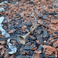 Posljedice požara u centru Zagreba