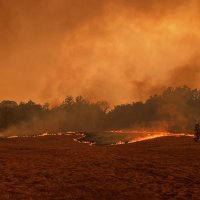 Veliki požar u Sloveniji