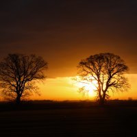 Svitanje u Parku prirode Kopački rit