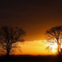Svitanje u Parku prirode Kopački rit