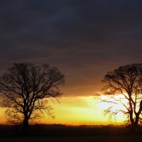 Svitanje u Parku prirode Kopački rit