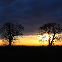 Svitanje u Parku prirode Kopački rit
