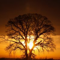 Svitanje u Parku prirode Kopački rit