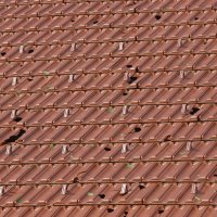 Tuča u općini Veliki Bukovec, svibanj 2022.