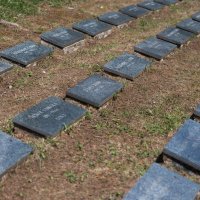 U Srbu proslavljena 81. godišnjica partizanskog ustanka