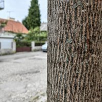 Huawei Mate Xs 2 primjeri fotografija