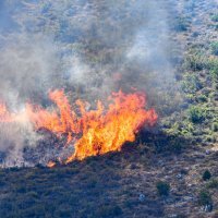 Požar kod Dubrovnika